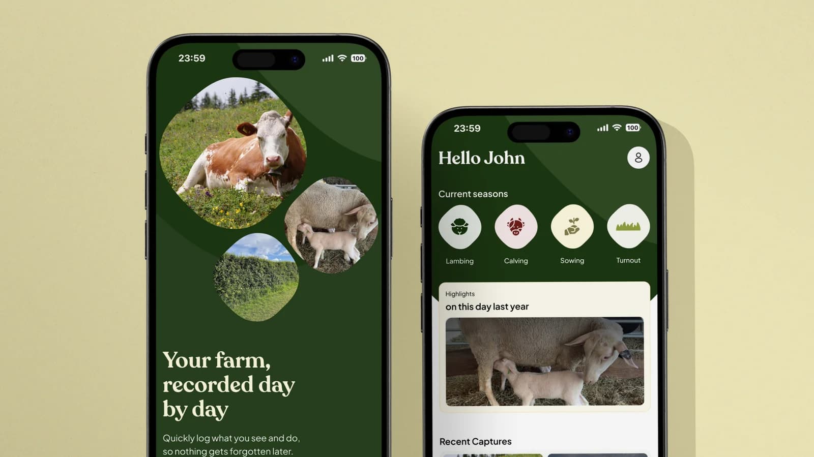 Helping Irish farmers navigate agricultural policy